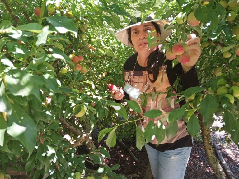 Silvifruver: Líder en el Mercado de Agricultura Sostenible en Bucaramanga