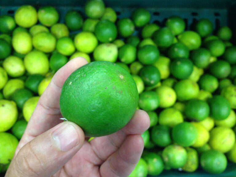 Cómo Elegir las Mejores Frutas Naturales en el Mercado 🥭