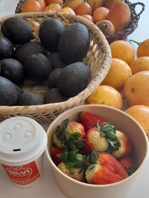 WhatsApp Image 2023-11-17 at 10.32.28 AM