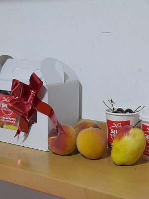 WhatsApp Image 2023-12-12 at 5.08.20 PM