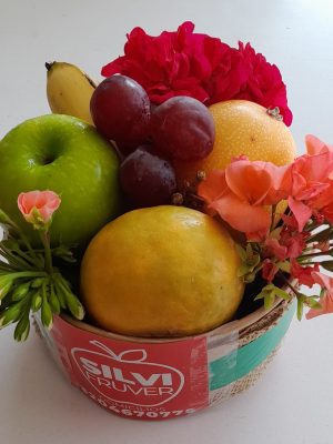 arreglo-silvifruver-frutal